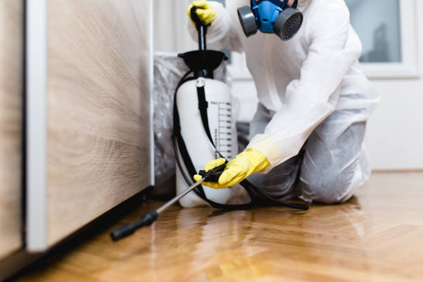 Best Local Pest Control Services  in North Bellport, NY