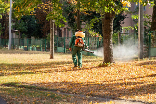 Best Residential Pest Control  in North Bellport, NY